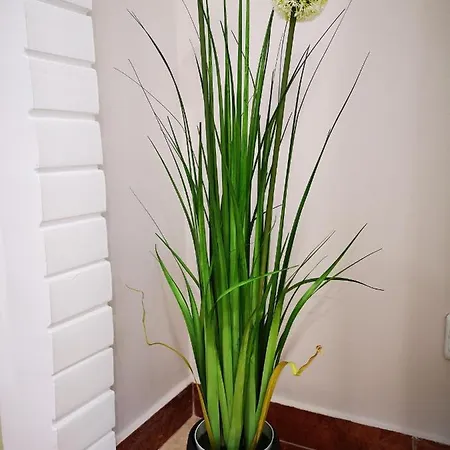 Aranyhal Vendeghaz Sukoro