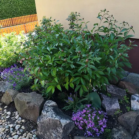 Aranyhal Vendeghaz Дом отдыха *